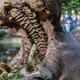 A hippo known as Pepa in Medellin, Colombia on July 15, 2018. Pepa was part of the initial batch of animals imported by drug lord Pablo Escobar back in the 1980s.